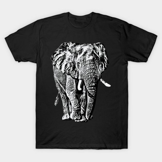 Bull Elephant Front-on View | African Wildlife T-Shirt by scotch